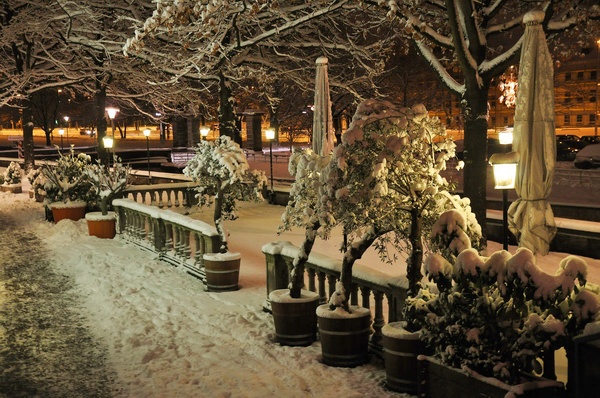 Winterimpressionen   058.jpg